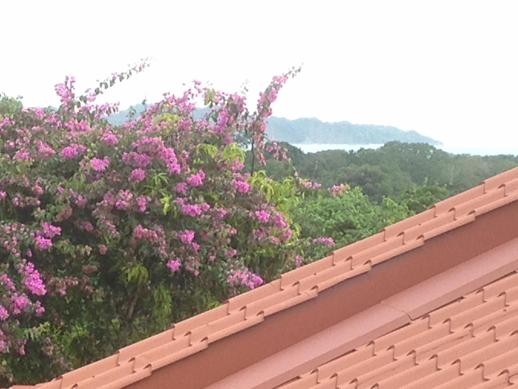 Villa Mango B&B Nosara Exterior foto