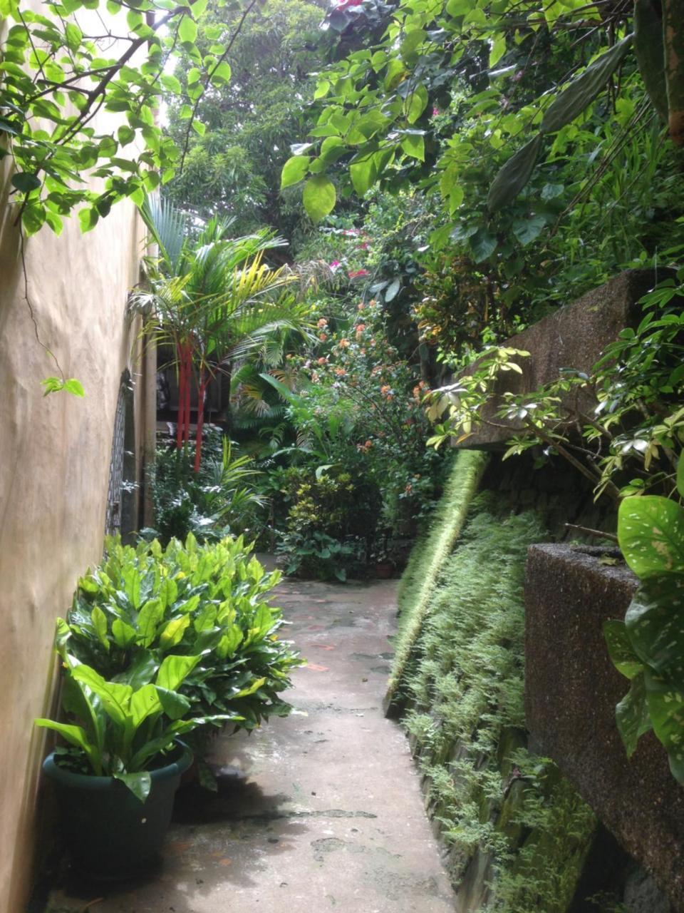 Villa Mango B&B Nosara Exterior foto